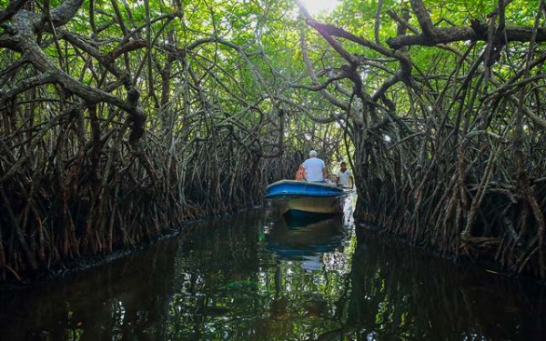 Madu Ganga RiVer Safari